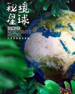 二轮电动车非机动车道逆行撞上从机动车驶向非机动车车道的电动三轮车，二轮电动车人受伤谁的责任？游戏画面